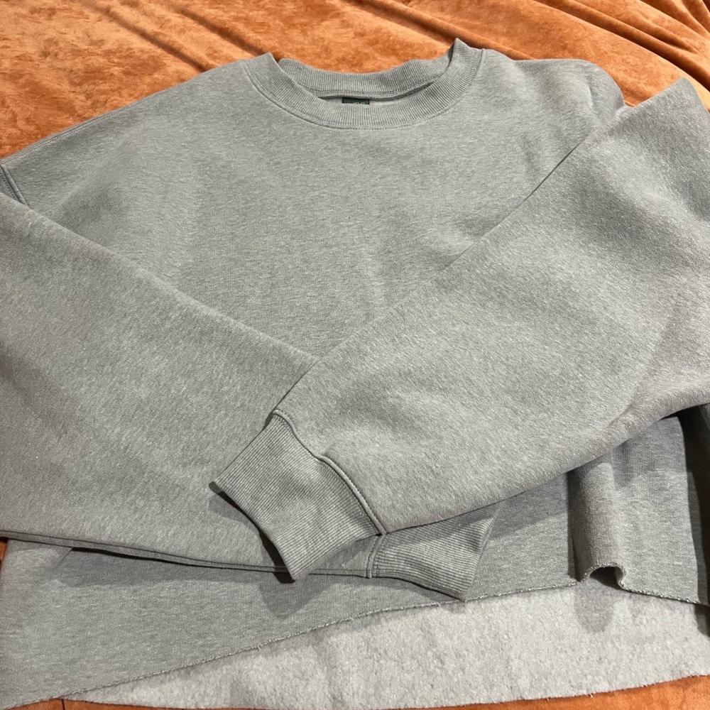 Wild Fable oversized cropped gray crewneck